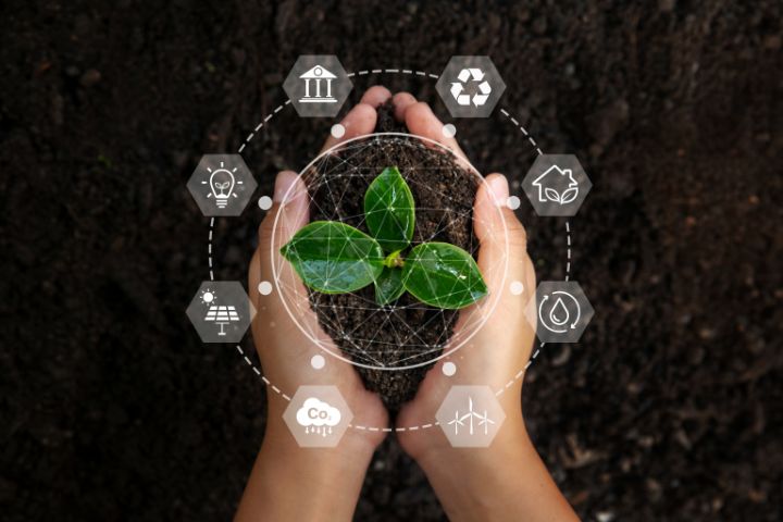 Hände mit einer Pflanze, darum herum gruppiert Symbole für die Bereiche, wo Klimaschutz ansetzen kann