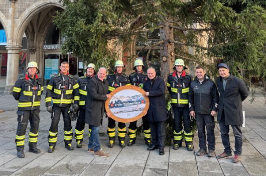 Christbaum auf dem Marienplatz