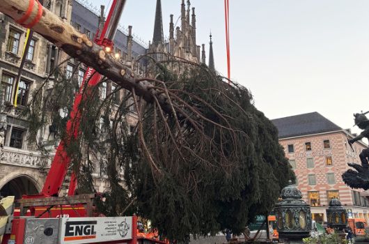 Christbaum auf dem Marienplatz