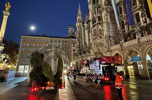 Christbaum auf dem Marienplatz