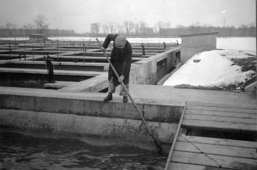 Tiefbauamt arbeiten