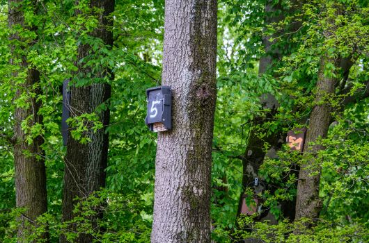 Öffentliche Grünflächen im Prinz-Eugen-Park