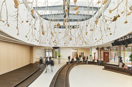 Kunst am Bau: Das Naturarrangement „Amöbe“ von Gabriela Oberkofler in der Aula