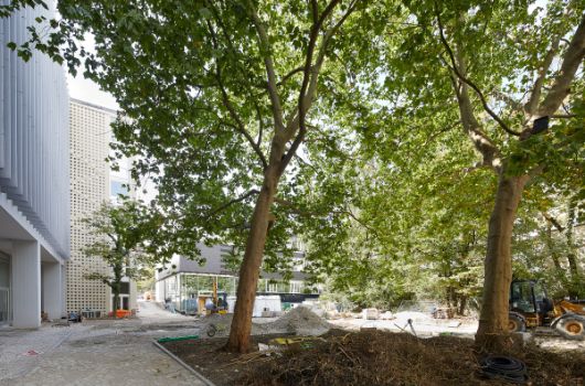 Neugestaltung Schulinnenhof Süden - Erhaltung und Integrierung des Baumbestands