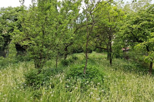 Erholungsgrundstück Maria-Reisinger-Weg: Geländeansicht