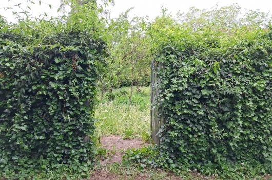 Erholungsfläche Maria-Reisinger-Weg: Eingang