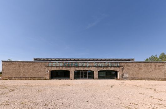 Kopfbau von vorne