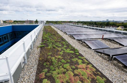 Begrünte Dächer und Photovoltaik-Anlage für den eigenen Energiebedarf