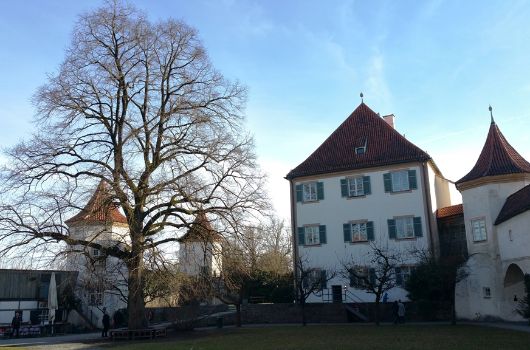 Innenhof Schloss Blutenburg mit Sommerlinde im Herbst