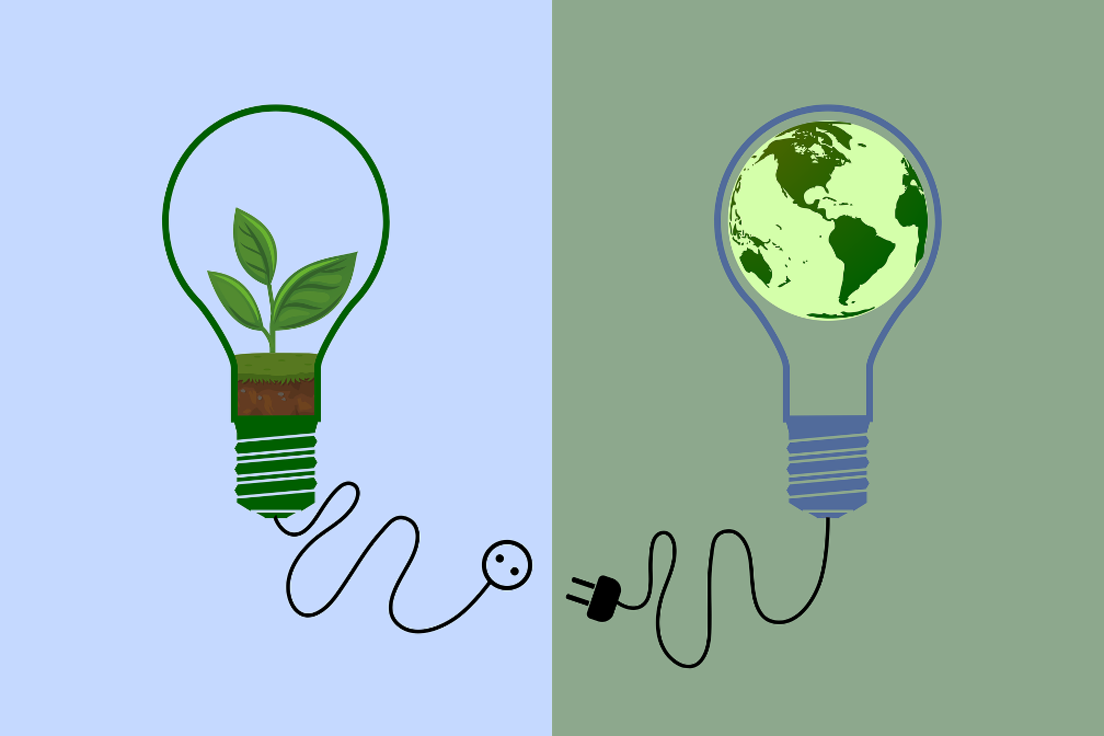 Auf dem Bild sind zwei Glühbirnen zu sehen, die grafisch dargestellt sind. Links ist die Glühbirne grün umrandet vor blauem Hintergrund und enthält eine kleine Pflanze, rechts ist die Glühbirne blau umrandet auf grünem Hintergrund und enthält die Erde
