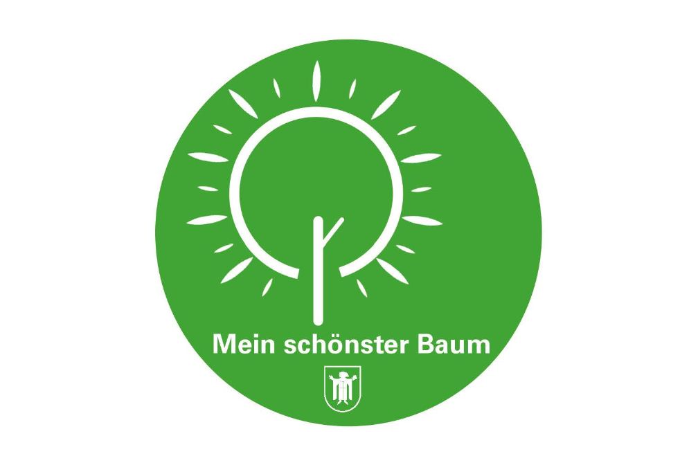 Logo M_S_Baum