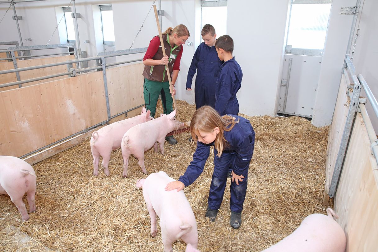 Mitarbeiterin erklärt den Kindern die Arbeit im Schweinestall.
