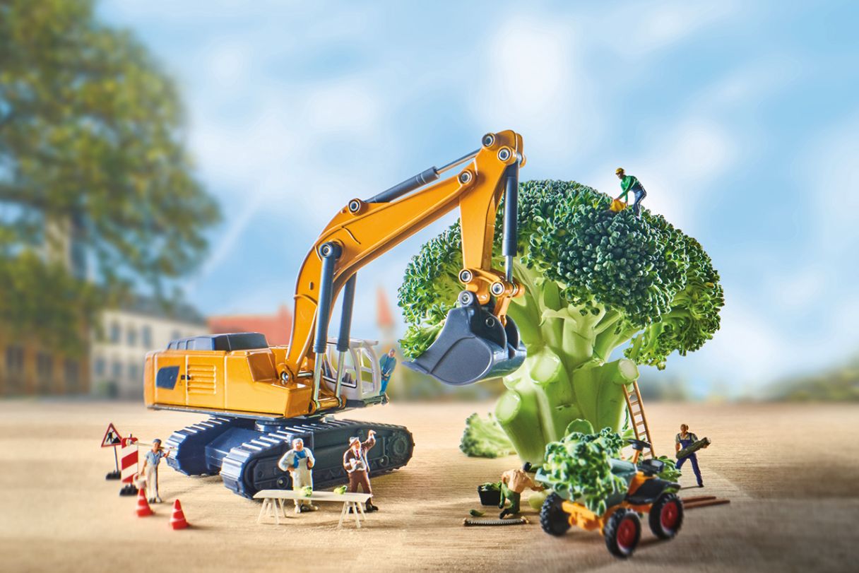 Spielzeugfiguren stehen an einem Brokkoli, als Sinnbild für den Umbau