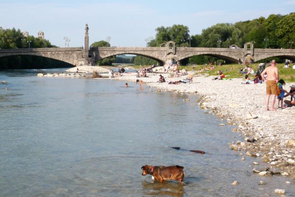 Sommer an der Wittelsbacherbrücke: Menschen und ein Hund baden in der Isar
