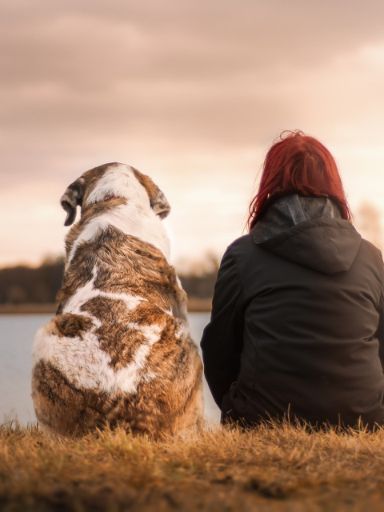 Hund und Frau schauen gemeinsam auf einen See.
