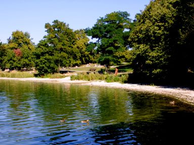 Fasaneriesee