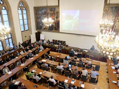 Stadtratshearing 