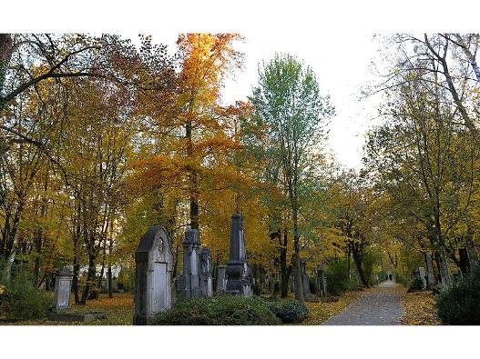 Herbst im Alten Südfriedhof