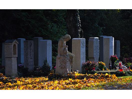 Gräber im Friedhof und Parkfriedhof Untermenzing